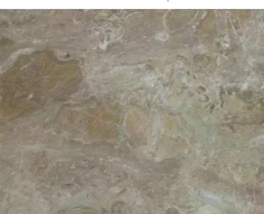 Breccia Oniciata Marble