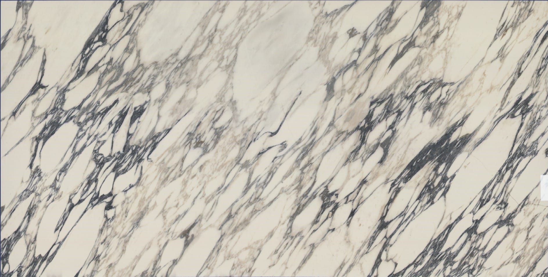 White Marble