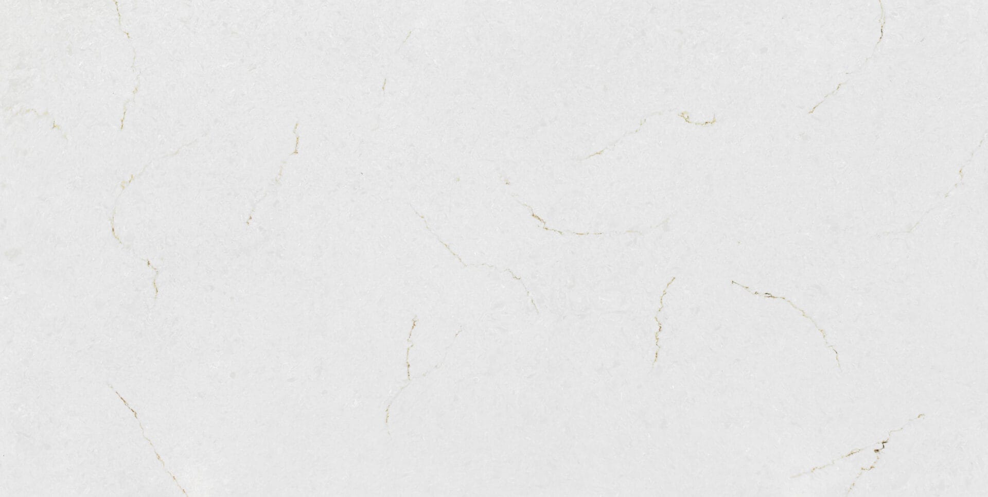 Belgian Crema